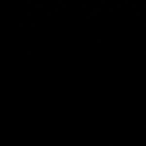 Meet your Posher, Kailey